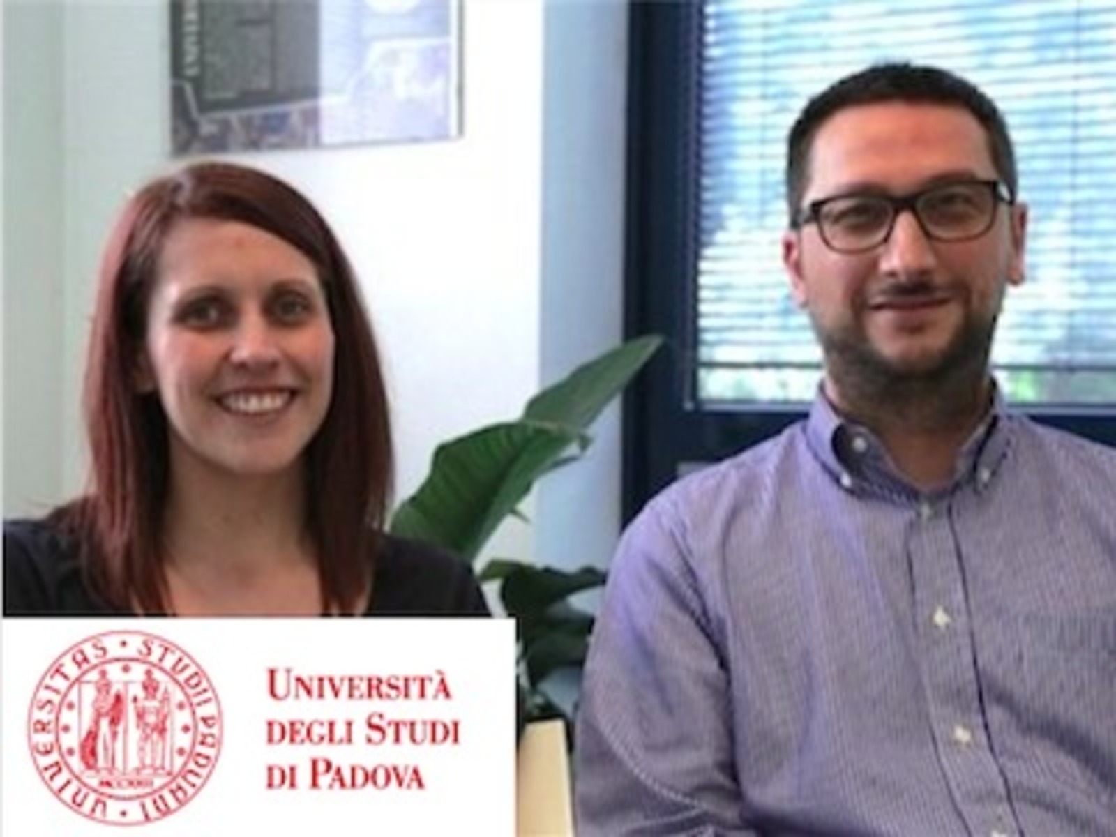 Bullying 101: Beyond common sense